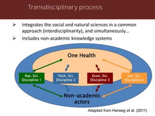 One Health: Concept and applications