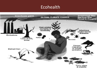 One Health: Concept and applications