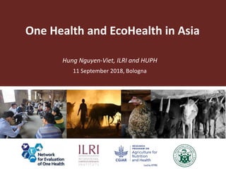 One Health and EcoHealth in Asia
11 September 2018, Bologna
Hung Nguyen-Viet, ILRI and HUPH
 