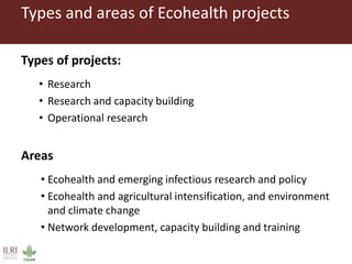 One Health and EcoHealth in Asia