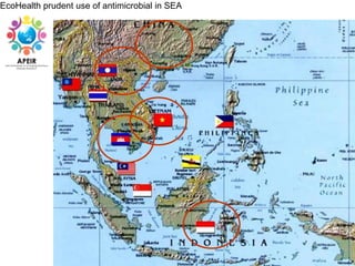 One Health and EcoHealth in Asia