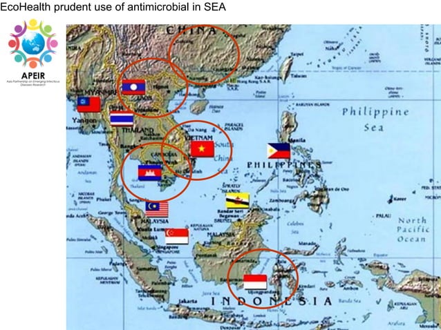 One Health and EcoHealth in Asia