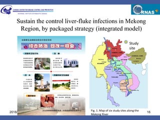 One Health and EcoHealth in Asia