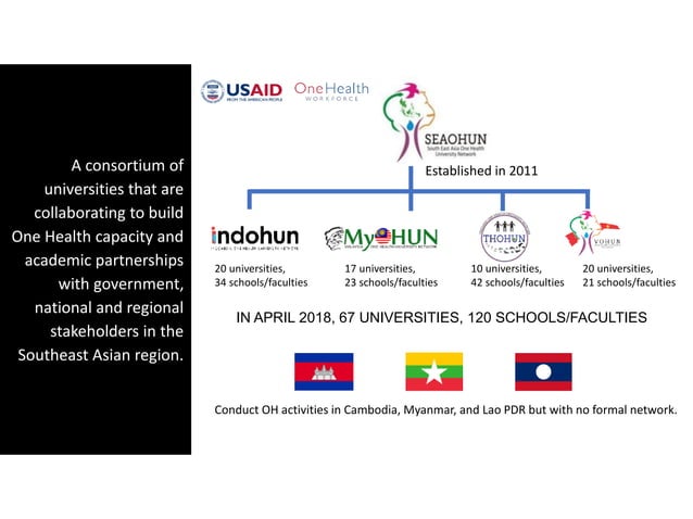 One Health and EcoHealth in Asia