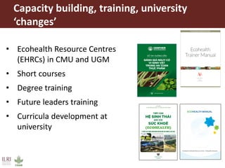 One Health and EcoHealth in Asia