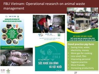 One Health and EcoHealth in Asia