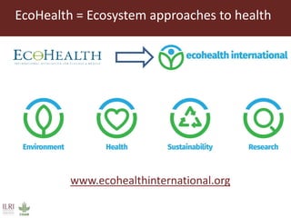 One Health and EcoHealth in Asia