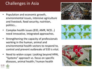 One Health and EcoHealth in Asia