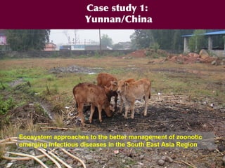 EcoHealth and One Health – Moving from concepts to implementation: “Learning by doing” through case studies