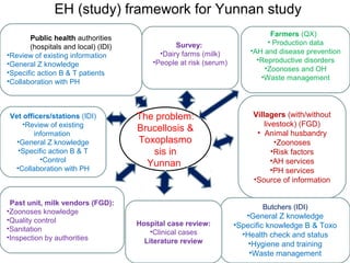 EcoHealth and One Health – Moving from concepts to implementation: “Learning by doing” through case studies