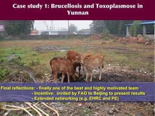 EcoHealth and One Health – Moving from concepts to implementation: “Learning by doing” through case studies