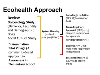 EcoHealth and One Health – Moving from concepts to implementation: “Learning by doing” through case studies