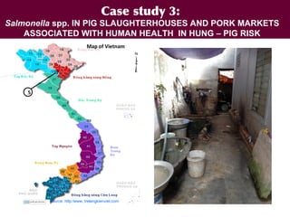 EcoHealth and One Health – Moving from concepts to implementation: “Learning by doing” through case studies