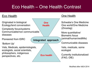 EcoHealth and One Health – Moving from concepts to implementation: “Learning by doing” through case studies