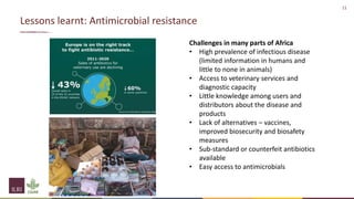 One Health and livestock: Capacity building and operationalization in the global south