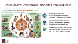 One Health and livestock: Capacity building and operationalization in the global south