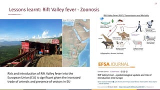 One Health and livestock: Capacity building and operationalization in the global south