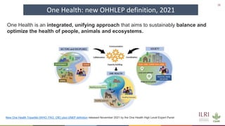One Health and livestock: Capacity building and operationalization in the global south