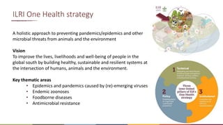 One Health and livestock: Capacity building and operationalization in the global south