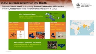 One Health and livestock: Capacity building and operationalization in the global south