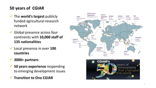 One Health and livestock: Capacity building and operationalization in the global south