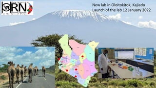 One Health and livestock: Capacity building and operationalization in the global south