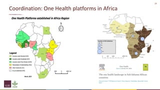 One Health and livestock: Capacity building and operationalization in the global south