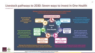 One Health and livestock: Capacity building and operationalization in the global south