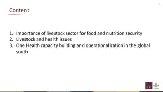 One Health and livestock: Capacity building and operationalization in the global south