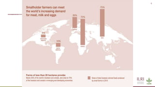 One Health and livestock: Capacity building and operationalization in the global south