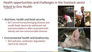 One Health and livestock: Capacity building and operationalization in the global south