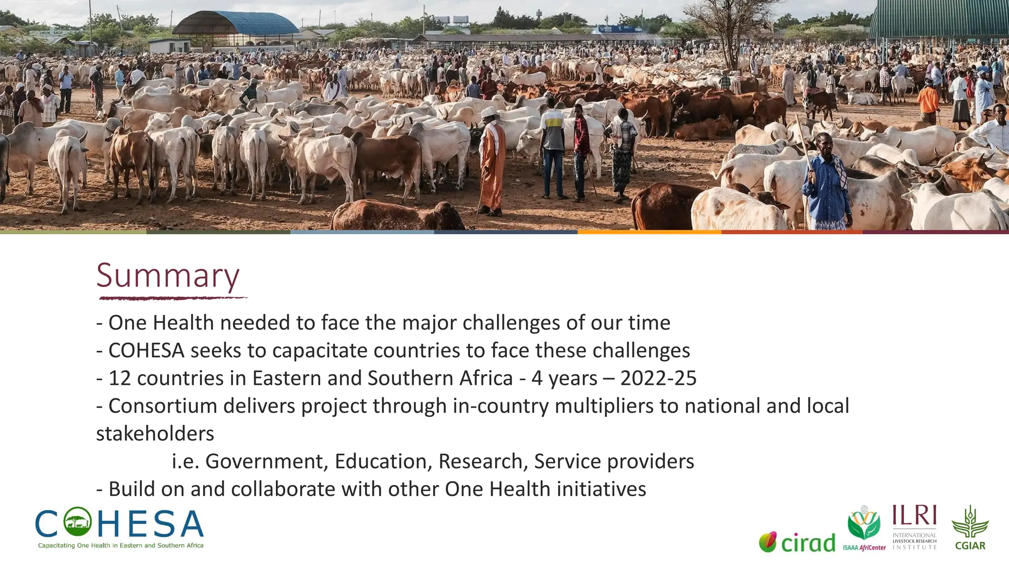 17
Summary
- One Health needed to face the major challenges of our time
- COHESA seeks to capacitate countries to face these challenges
- 12 countries in Eastern and Southern Africa - 4 years – 2022-25
- Consortium delivers project through in-country multipliers to national and local
stakeholders
i.e. Government, Education, Research, Service providers
- Build on and collaborate with other One Health initiatives
 