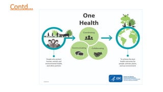 One Health Bat One Health Approach: Integrating Human, Animal, and Environmental ...