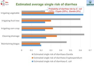 One Health in Vietnam: From training and research to policy