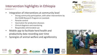 One Health approach to address zoonotic and emerging infectious diseases and antimicrobial resistance issues in low- and middle-income countries