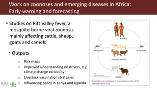 One Health approach to address zoonotic and emerging infectious diseases and antimicrobial resistance issues in low- and middle-income countries