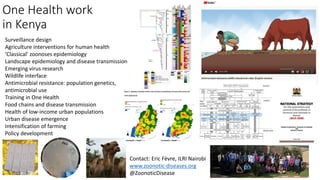One Health approach to address zoonotic and emerging infectious diseases and antimicrobial resistance issues in low- and middle-income countries