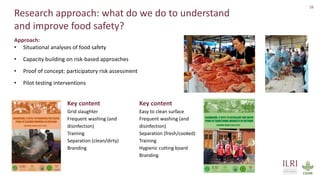 One Health approach to address zoonotic and emerging infectious diseases and antimicrobial resistance issues in low- and middle-income countries