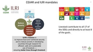 One Health approach to address zoonotic and emerging infectious diseases and antimicrobial resistance issues in low- and middle-income countries
