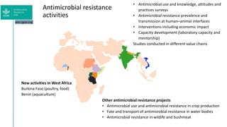 One Health approach to address zoonotic and emerging infectious diseases and antimicrobial resistance issues in low- and middle-income countries