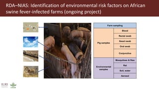 One Health approach to address zoonotic and emerging infectious diseases and antimicrobial resistance issues in low- and middle-income countries