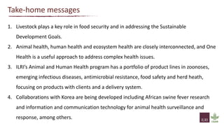 One Health approach to address zoonotic and emerging infectious diseases and antimicrobial resistance issues in low- and middle-income countries