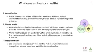 One Health approach to address zoonotic and emerging infectious diseases and antimicrobial resistance issues in low- and middle-income countries