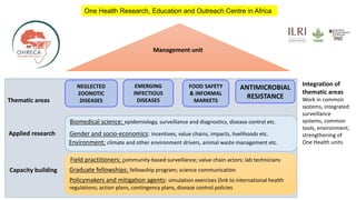 One Health approach to address zoonotic and emerging infectious diseases and antimicrobial resistance issues in low- and middle-income countries