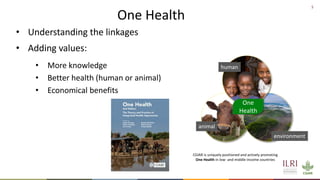 One Health approach to address zoonotic and emerging infectious diseases and antimicrobial resistance issues in low- and middle-income countries