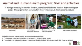 One Health approach to address zoonotic and emerging infectious diseases and antimicrobial resistance issues in low- and middle-income countries