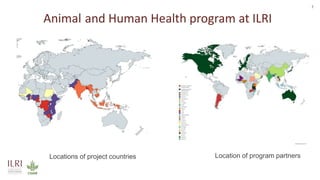 One Health approach to address zoonotic and emerging infectious diseases and antimicrobial resistance issues in low- and middle-income countries