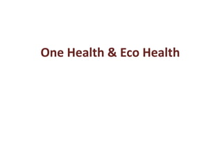 One Health & Eco Health
 