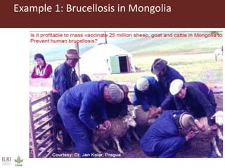 Example 1: Brucellosis in Mongolia
 
