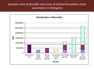 Synoptic view of benefits and costs of animal brucellosis mass
vaccination in Mongolia
Distribution of Benefits
0
5000000
10000000
15000000
20000000
25000000
30000000
Intervention
cost
Public
health
benefits
Private
health
benefits
Household
income
loss
Total Health
Benefits
Agricultural
Benefits
Total
Societal
Benefits
Sector
US$
 